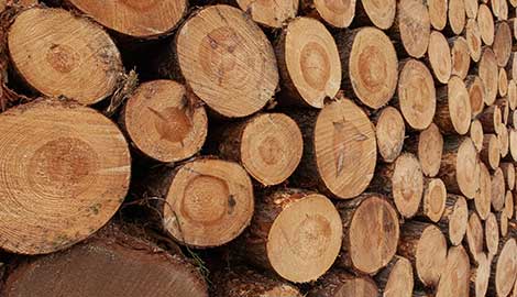 Akce na palivové dřevo